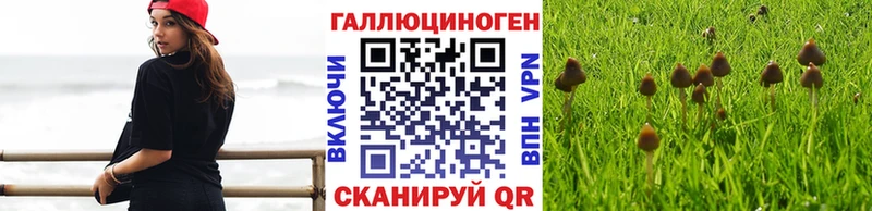 Галлюциногенные грибы Magic Shrooms где купить кракен зеркало Шенкурск